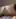 Wld you put your dick in my asshole?