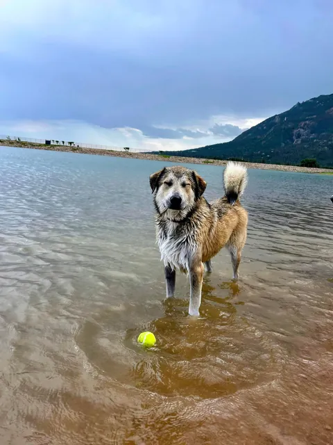 One of my favorite pictures I’ve ever taken - and the goofiness leading up to it!