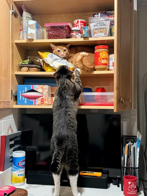 I left it open for 30 friggin seconds