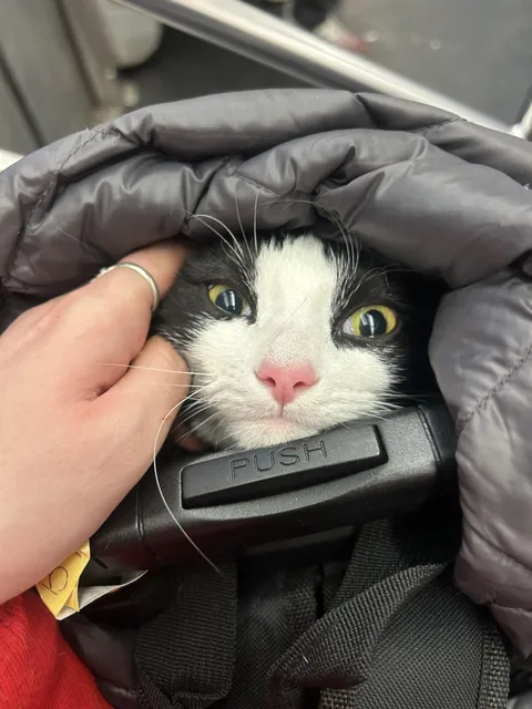 I feel so guilty, advice welcome