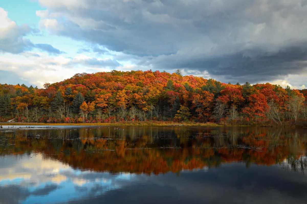 Late Fall in Connecticut
