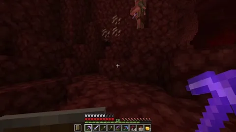 I love the nether...