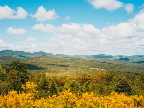 Nothing like a Vermont summer 🍎🛶⛰️