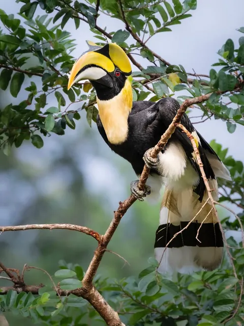 Photographer shows his POV vs the photos he takes.