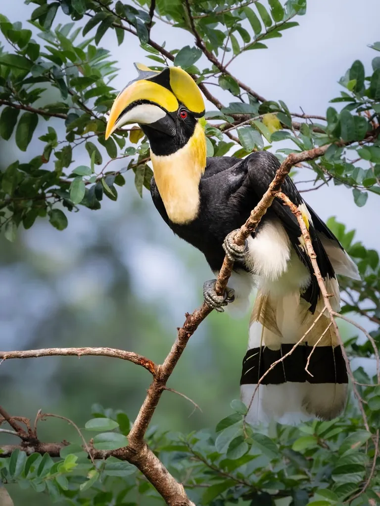 Photographer shows his POV vs the photos he takes.
