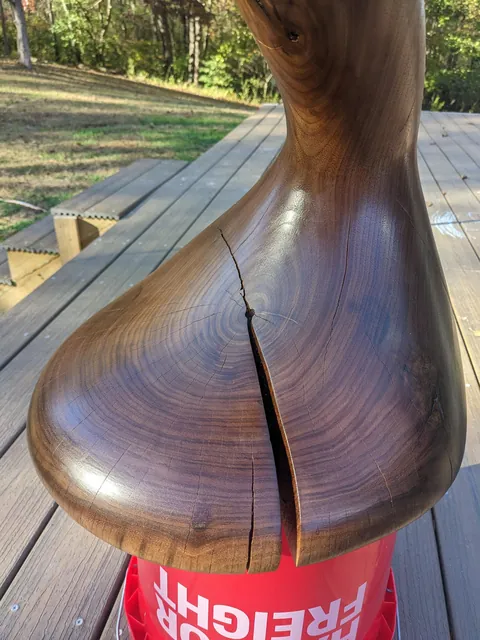 Just spent my last 3 years worth of Fall and Spring downtime carving a wooden wormhole from a single log. The concept just excites the heck out of me.