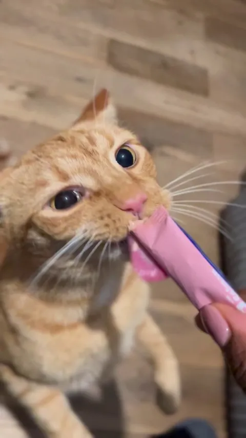 Seriously, what is in this stuff?