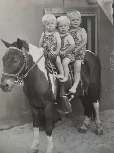 The pony picture 1955 me and my two brothers I am a twin and our brother is 11 months older