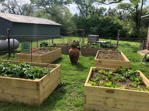 My Wife's Raised Bed Garden Over the Years