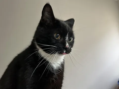 Came with the house we bought