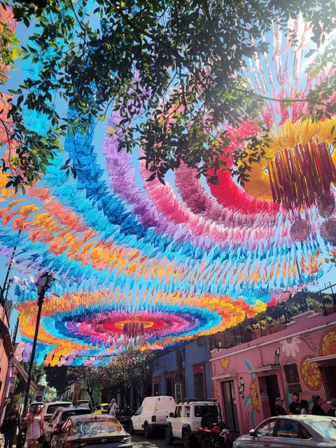 1 month in Oaxaca, Mexico February 2026