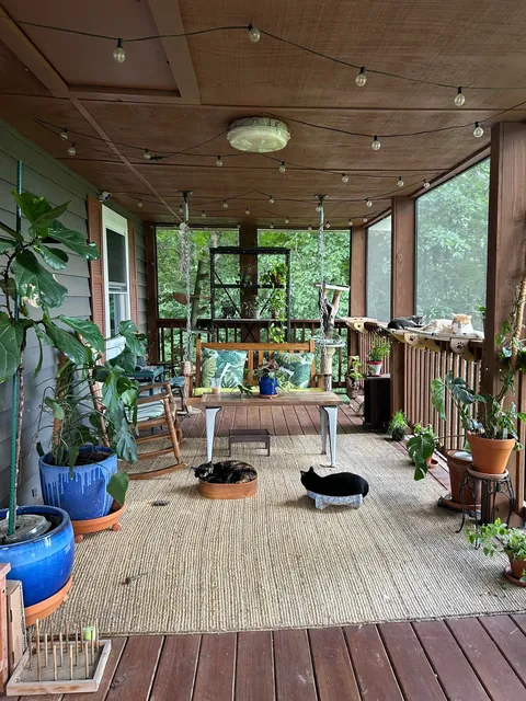 I’m often told my catio is a cozy place (swipe for nighttime pic).