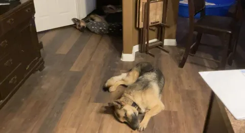 This can’t be comfortable