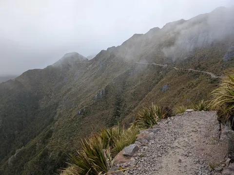 4.5 months in New Zealand