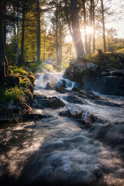 Signs of Spring in Arendal, Norway [OC] (1080x1619)