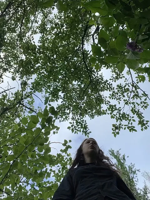 If you were a little mushroom in the forest