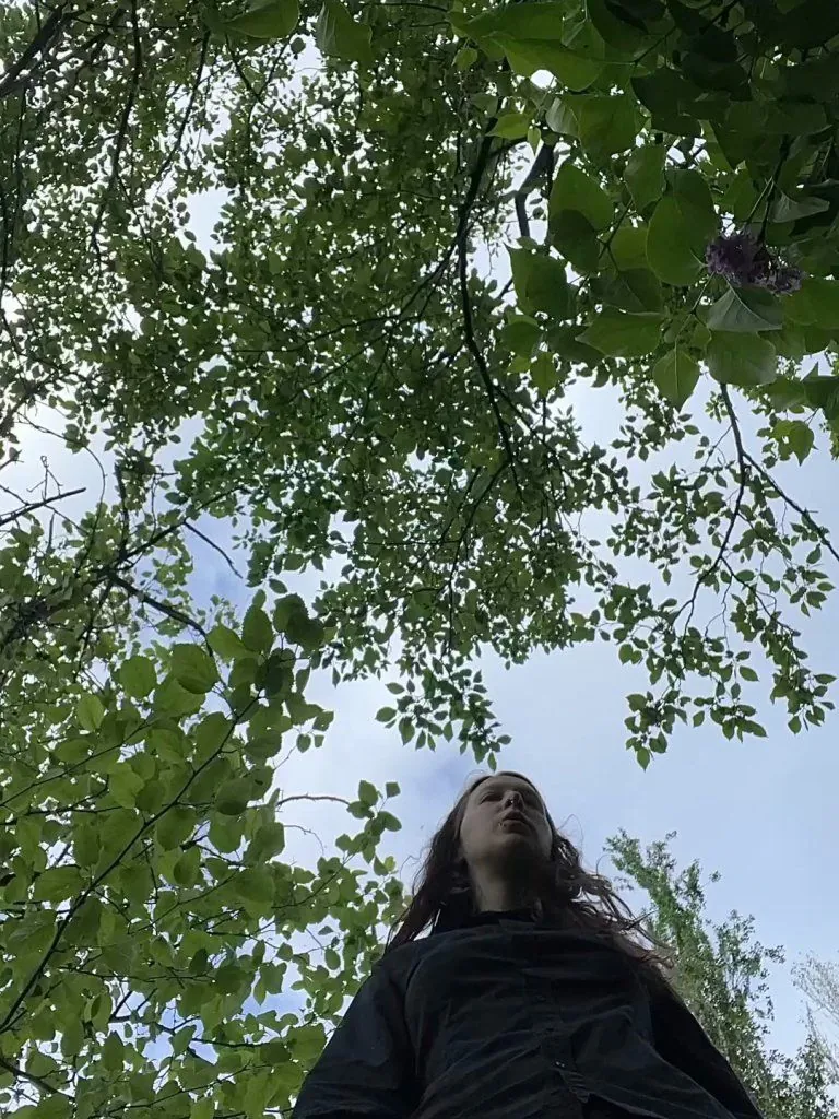 If you were a little mushroom in the forest