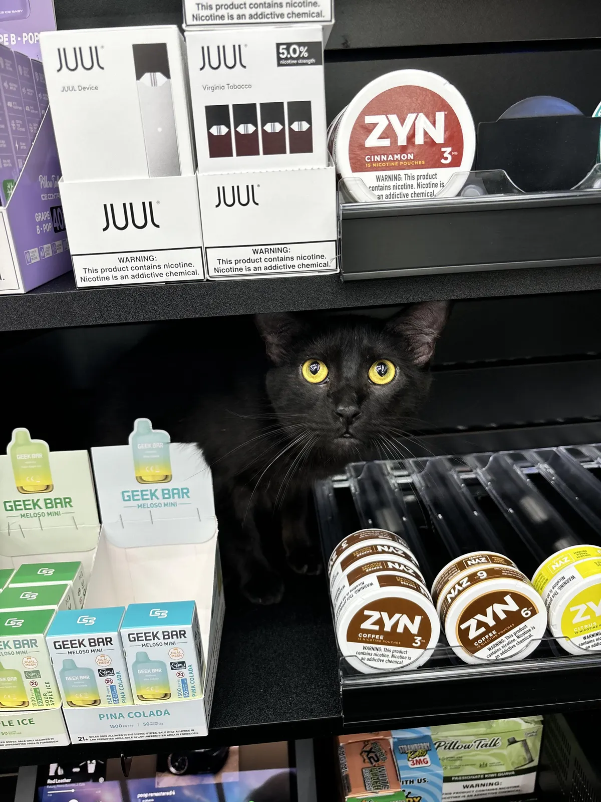 Diablo is working today