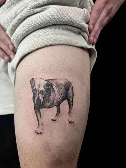 Allicat_tattoos at Absolute Tattoo in Charlotte, North Carolina 