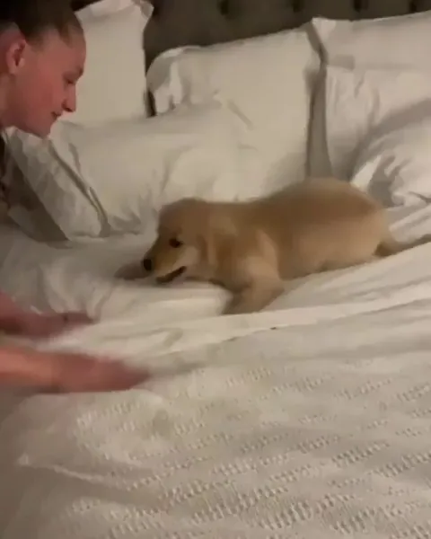 Puppy playtime with  My daughter