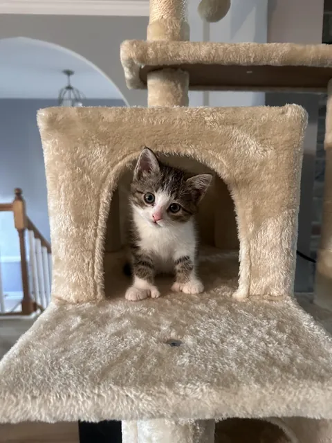 Her thumbs melt my heart