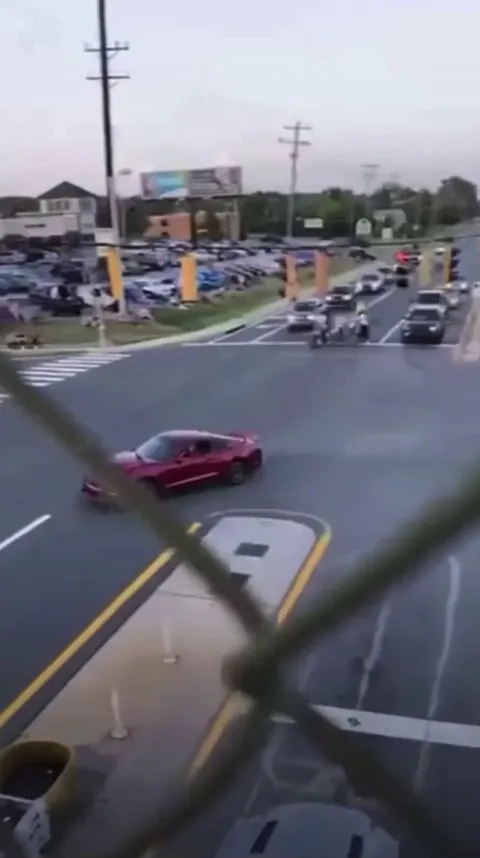 Just a Mustang doing Mustang things