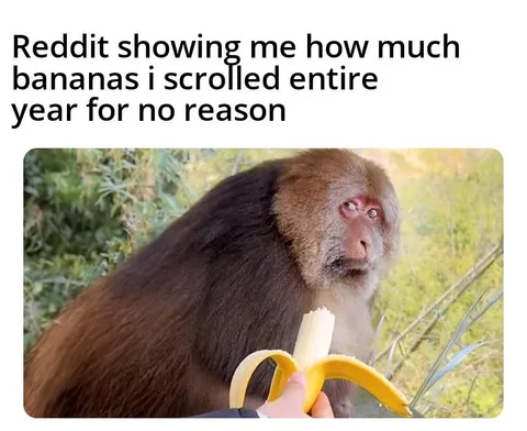 I scrolled 197,504 bananas this year 