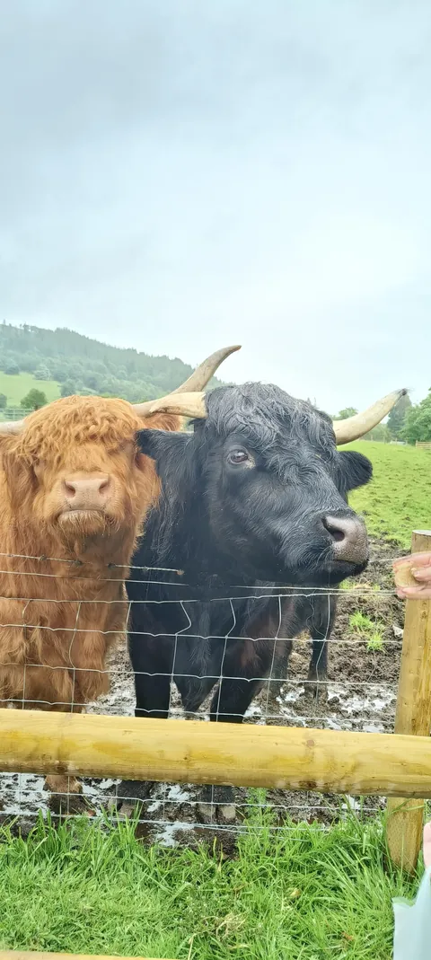 Spent June 2024 in Scotland