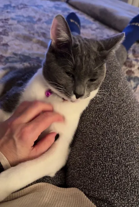 Rescued and finally a home to call her own 