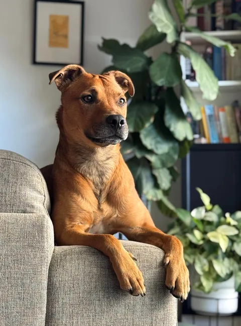 Hector through the years. Which is your favourite photo