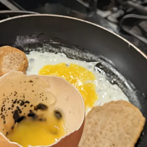 Bad egg destroyed the last two slices of my fancy bread