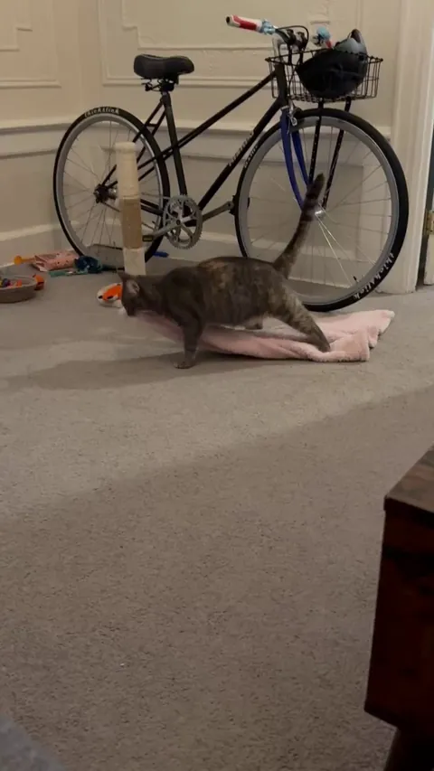 Her job is dragging her blanket day and night