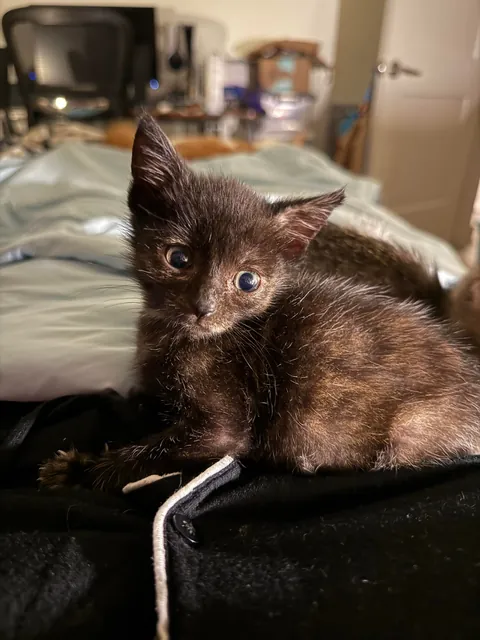 From 6oz to fat ❤️