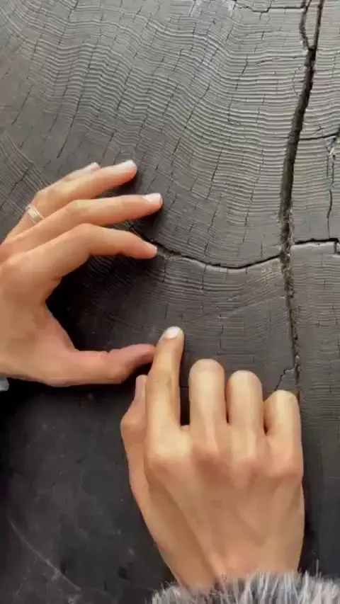 Measuring the age of a tree