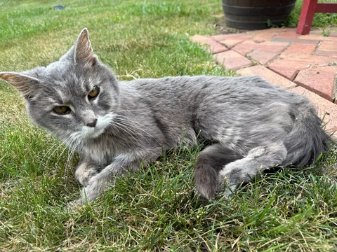 Miss Coral…she just turned 23!