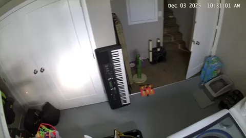 Yeah, that was my fault for trying the pet cam adjustment feature while I wasn’t home.