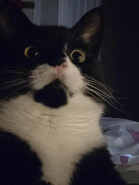 People like my Boi sprig, so i decided to show more. Enjoy