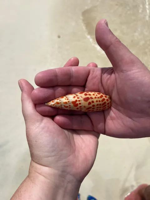 I almost killed my husband