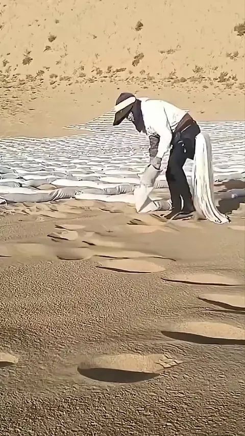 Stopping Desertification with grid pattern