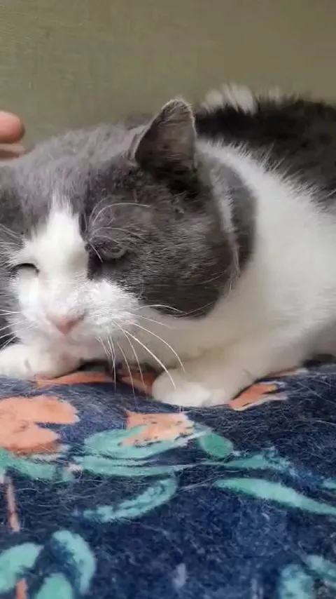 Another video of Géode from our shelter.