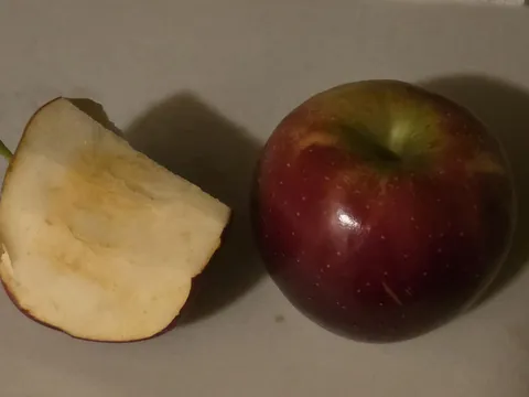 The Snapdragon apple developed by Cornell doesn't turn yellow. This apple was left out for 8hrs. It is also amazing to eat.