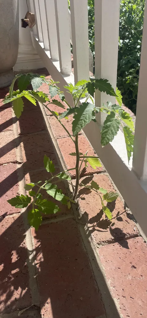 Not to get philosophical, but…