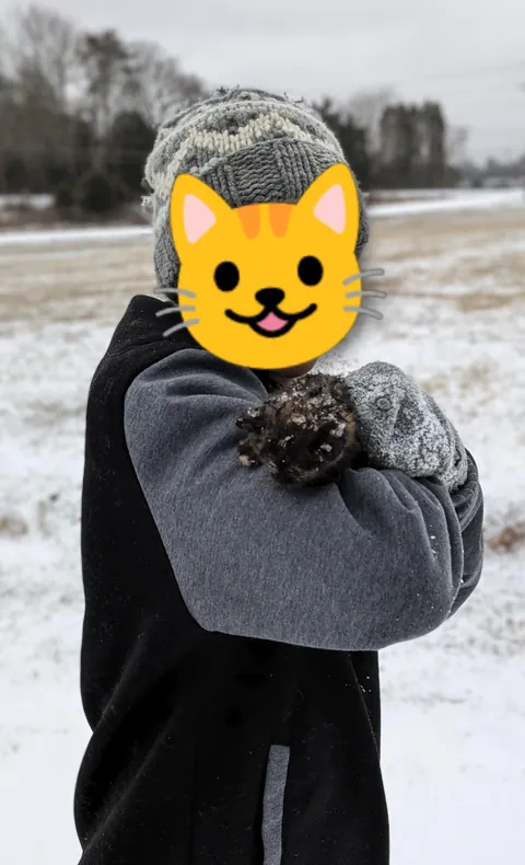 Updates on the sweet ice princess, Elsa!