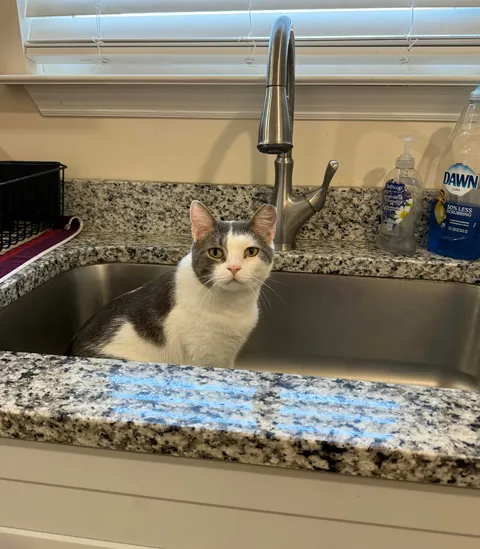 Sure, those are places to sit.