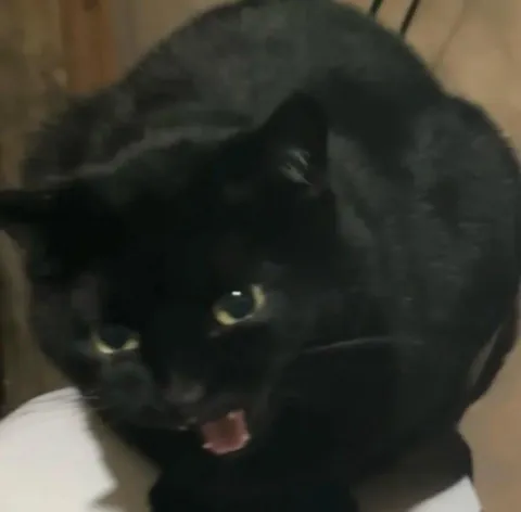 It’s 1 am and I'm being screamed at