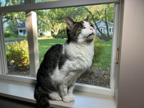 She held on for her 20th Christmas before letting go