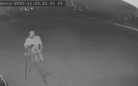 The Christmas lights said, “let’s do it again!”