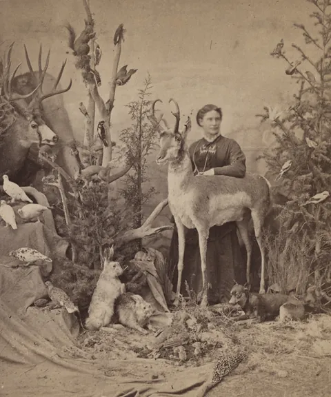 Say Cheese!  Professional pictures, 1875-1980s