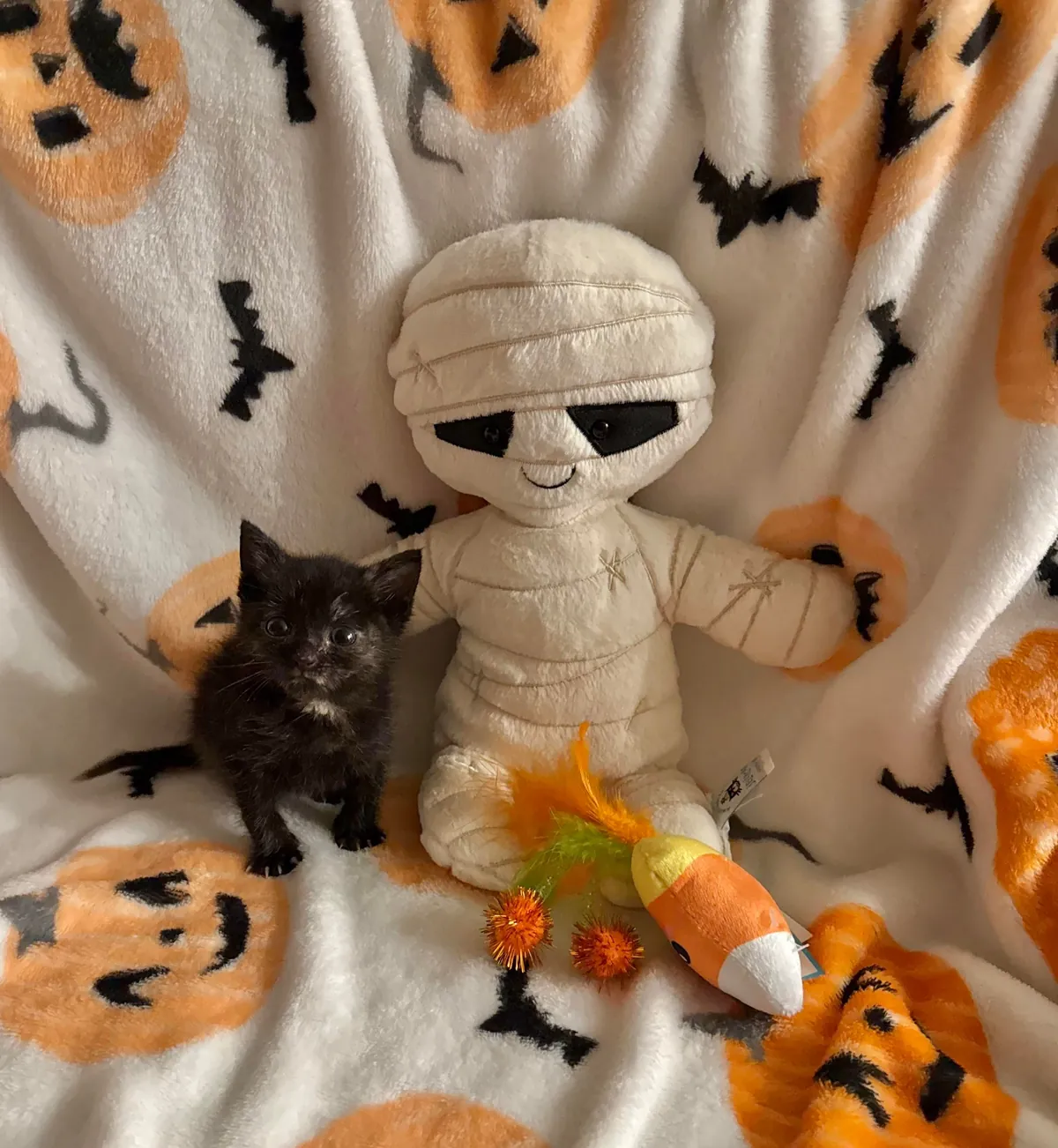 From 6oz to fat ❤️