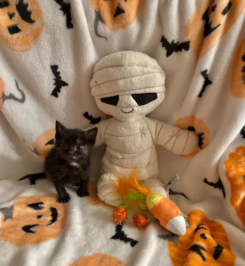 From 6oz to fat ❤️